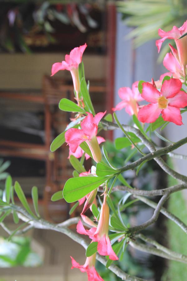 Secret Garden Sky Otel Ubud Dış mekan fotoğraf